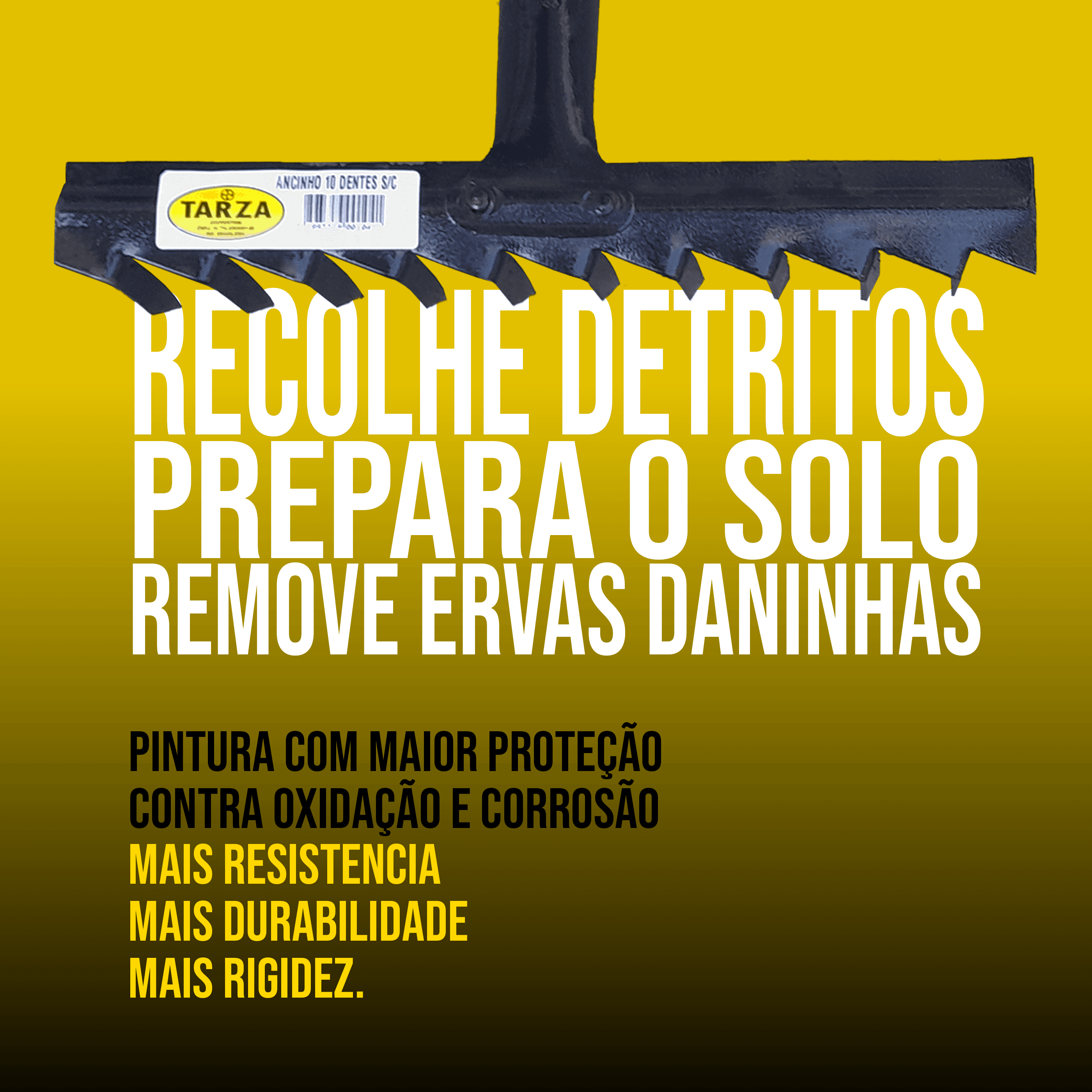 Ancinho 10 Dentes Sem Cabo